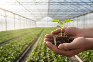 Hrvatsko oplemenjivanje bilja, sjemenarstvo i rasadničarstvo