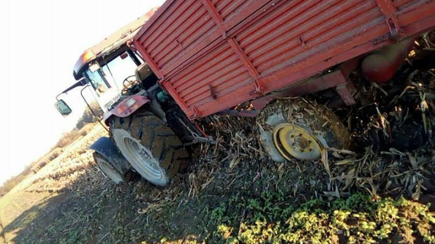 U istom košu sa kradljivcima poticaja?