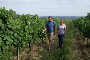 Hrvoje Pavlović: Turisti bi u mom vinogradu mogli brati grožđe i sudjelovati u procesu prerade