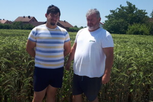 Veljko Hubak: Sijem pšenicu brkulju SOFRU jer ju ne uništavaju divlje svinje