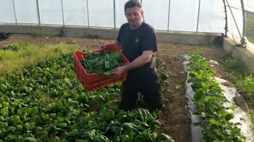 Općina Bilje vodeća po eko poljoprivredi