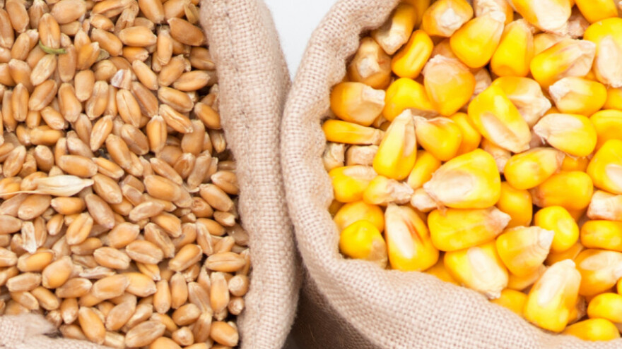 50 tona kukuruza i pšenice za pomoć Albaniji