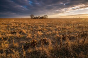 HUS podržava prijedlog zakona o poljoprivrednom zemljištu