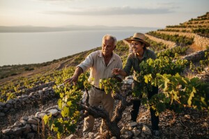 Hvarski vinari osnovali svoju udrugu
