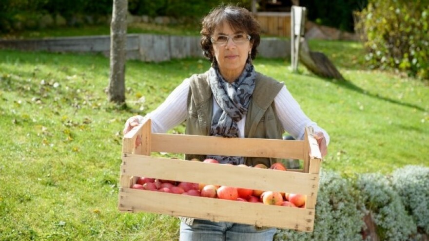 Mraz je naspram HR birokracije mačji kašalj!