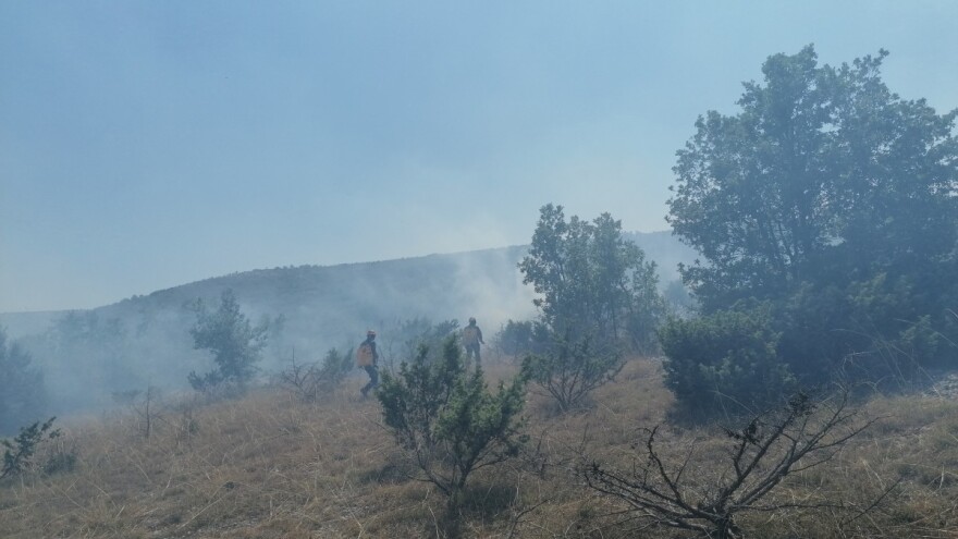 Požara ove godine manje, ali štete znatno veće
