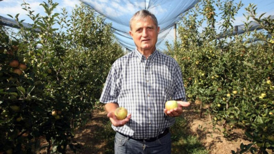 Voćari traže podjelu 316 milijuna kuna