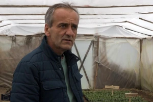 I bez pijace sve proda: Spreman rasad paprike i paradajza kod Duška
