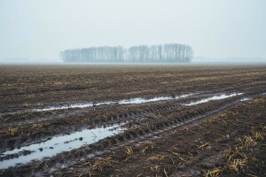 I dalje oblačno, ali iznadprosečno toplo