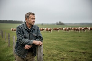 I švedski mljekari traže pomoć!