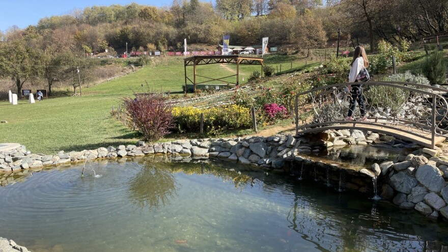 Početak ljeta uz organsku hranu - izlagači, prijavite se