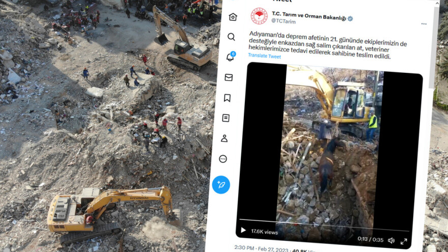 Konj preživio 21 dan u ruševinama nakon potresa u Turskoj