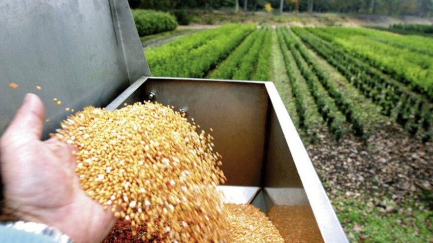 Globalna kompanija ICL traži partnere u Bosni i Hercegovini