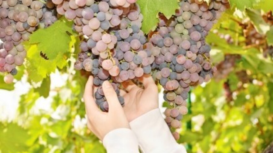 Certificirano 41 gospodarstvo OBŽ