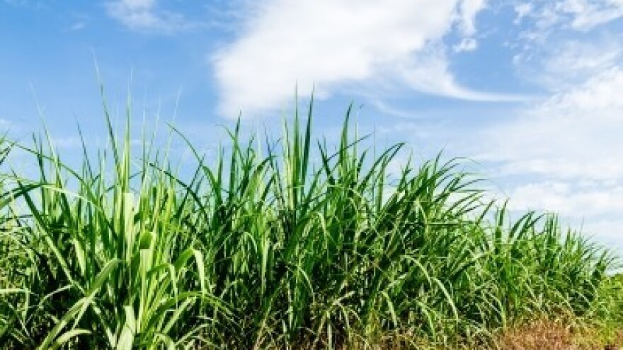 HPK primljena u punopravno članstvo Copa-Cogece