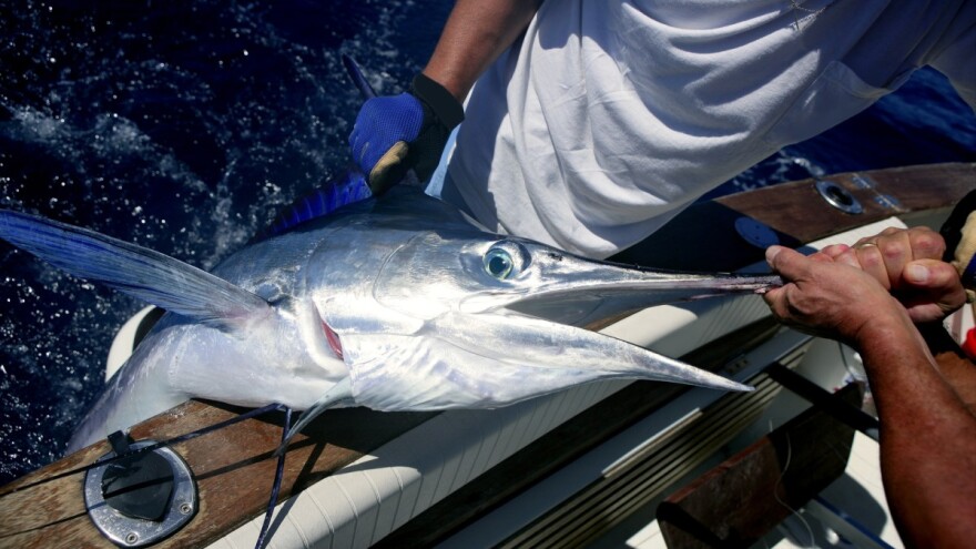 Prijedlog pravilnika o sljedivosti za plavoperajnu tunu i igluna