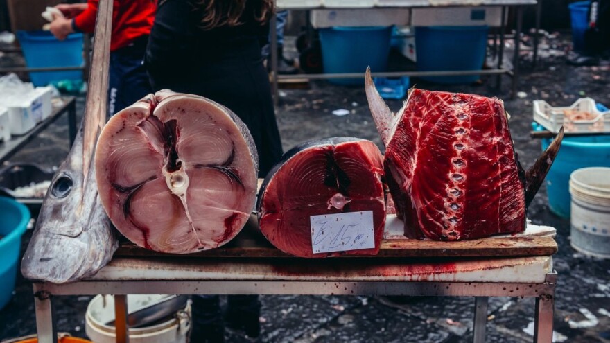 I dalje je zabranjen lov na igluna!