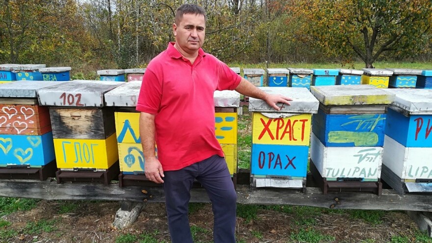 Pčelarski put Željka Ignjatića: Od sanduka za municiju do 200 košnica