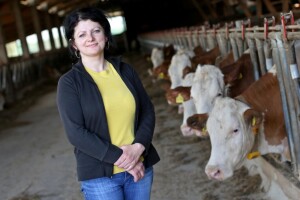 Na farmi Emine Burek godišnje se proizvede 1,5 milijun litara mlijeka i 50 tona mesa