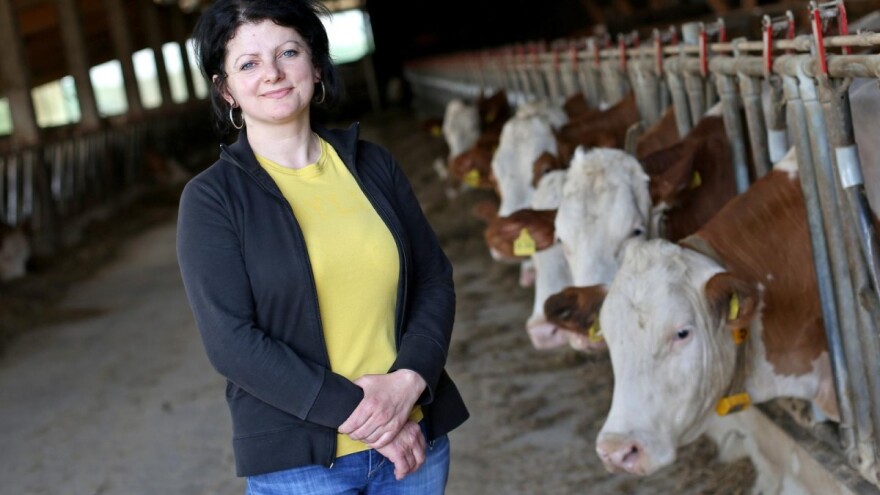 Na farmi Emine Burek godišnje se proizvede 1,5 milijun litara mlijeka i 50 tona mesa