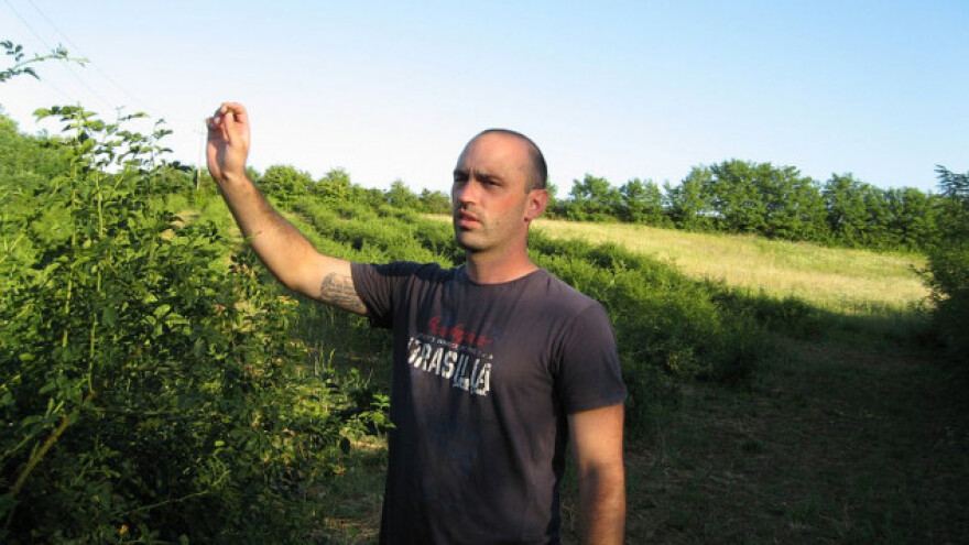 Uzgoj šipurka šansa za svetliju budućnost