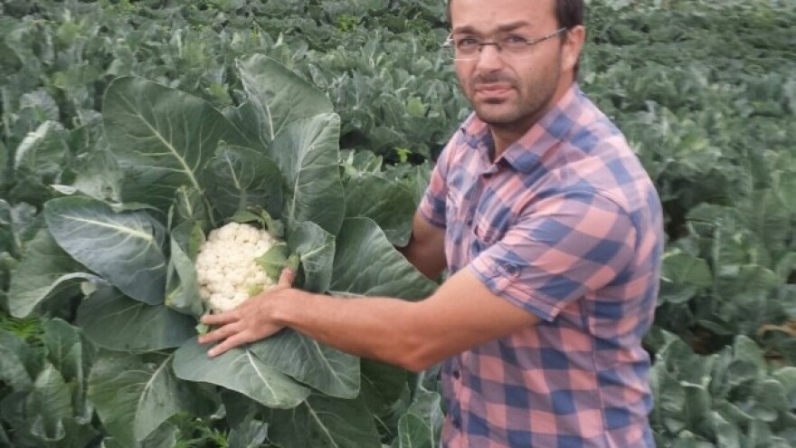 Udružili znanje i osnovali savjetodavnu agenciju