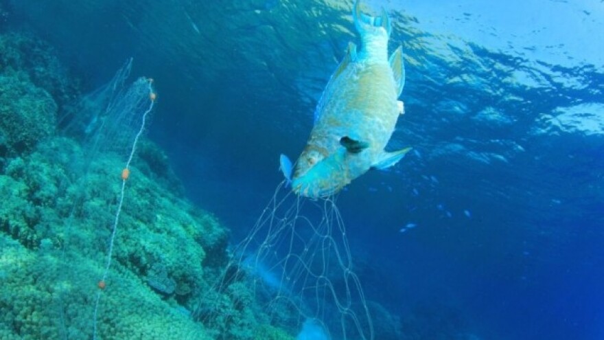 Staje se na kraj ilegalnom ribolovu?