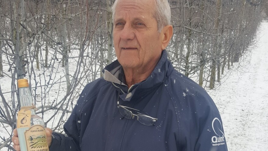 Ilija Mijatović u 73-oj izvozi viljamovku za njemačko tržište