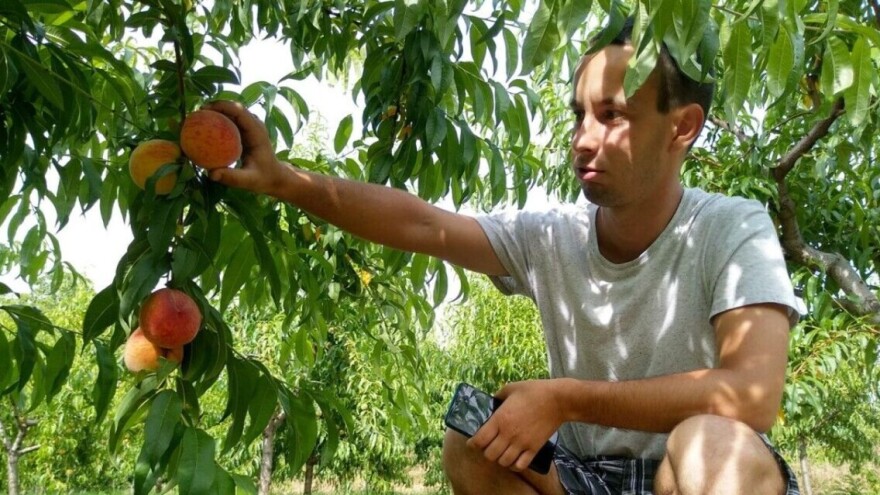 Ilija Stanković: Osigurati zasad od nepogoda je važna stavka u poljoprivredi