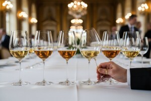 Iločki podrumi zvijezda ocjenjivanja Vina Croatia