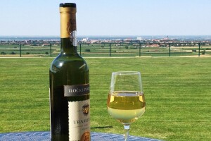 Pitoreskni Ilok otvara svoja vrata za 51. Iločku berbu grožđa!