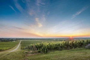 Gourmet Hrvatska - možemo postati svjetski prepoznatljiva gastronomska destinacija