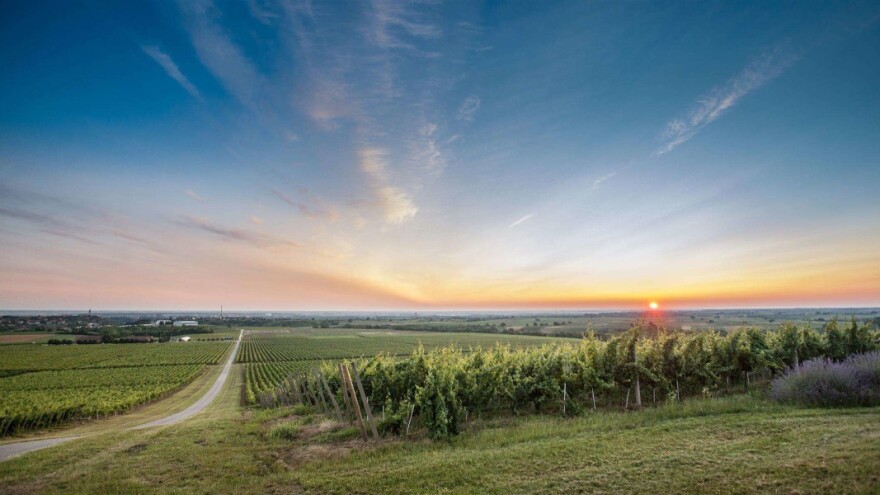 Gourmet Hrvatska - možemo postati svjetski prepoznatljiva gastronomska destinacija