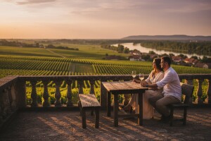 Ilok starinama i vinima privlači goste