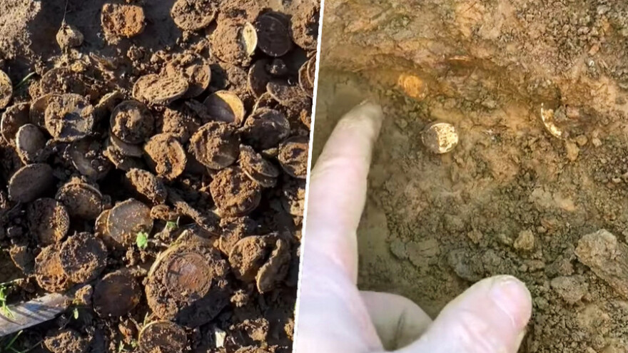 Pronašao zlatnike u polju kukuruza - vrijede više miliona dolara