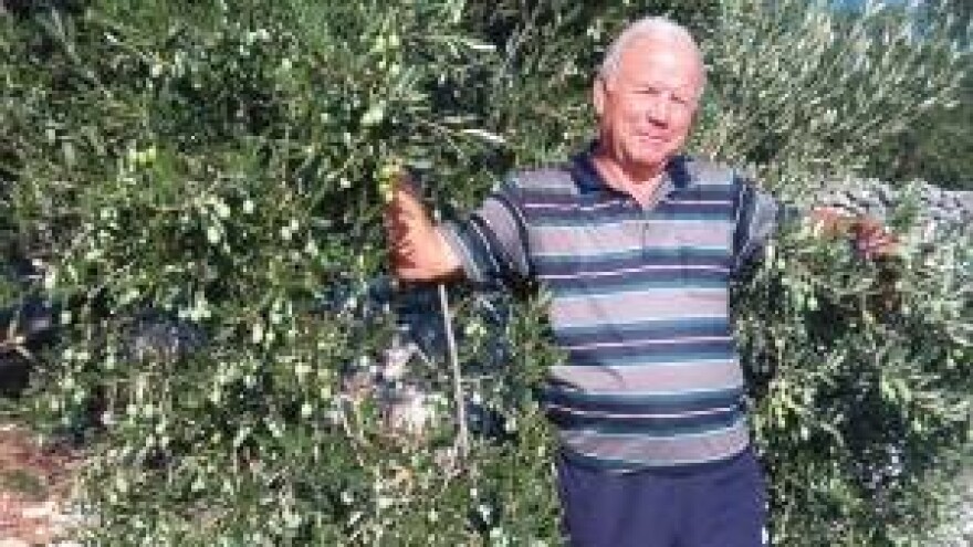 Eko maslinik Vajić Joze iz Trogira