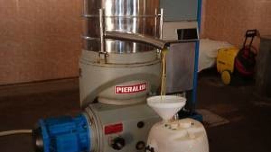 Dani maslinovog ulja i rakije loze