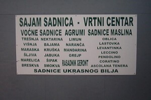 Dalmatinski sajmovi sadnica