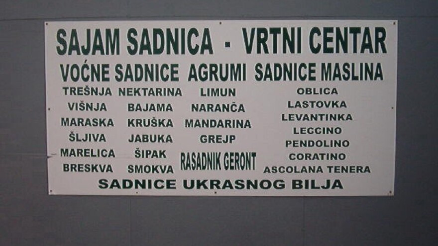 Dalmatinski sajmovi sadnica