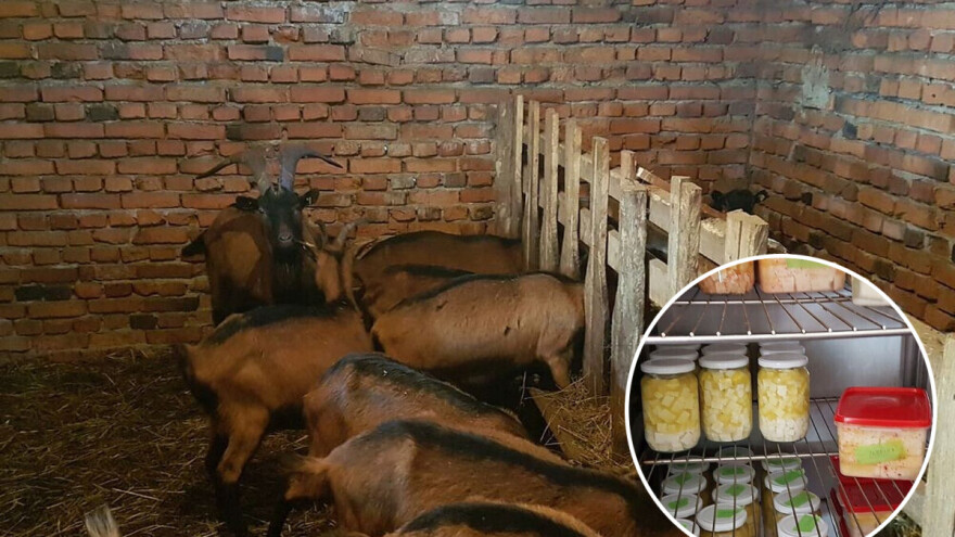 Vojo Pepić, povratnik iz inostranstva veliku šansu vidi u kozjim proizvodima