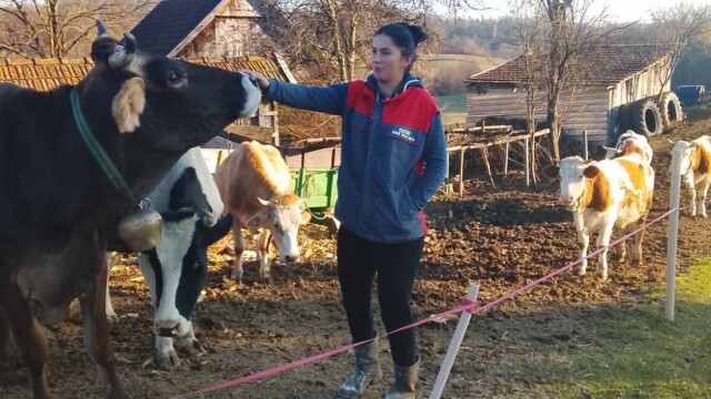 Iz grada došla na selo pa od svekra dobila kravu na poklon: Danas vodi svoje gazdinstvo