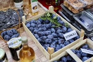 Počeo Sajam šljive u Osečini - tradicija i izvozni brend Srbije