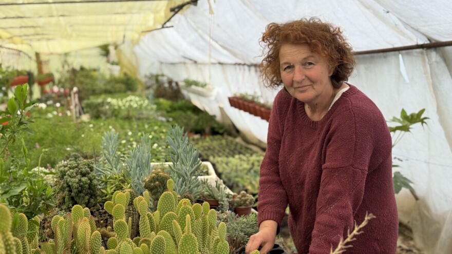 Zlatkino cvijetno carstvo: "Sadnja mora ići po redu"