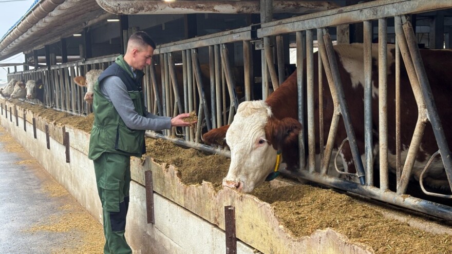Nezaustavljiv rast farme iz Srednje Bosne, uskoro vrata otvara i sirana
