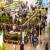 Myplant & Garden najavio deseto izdanje sajma 2026.