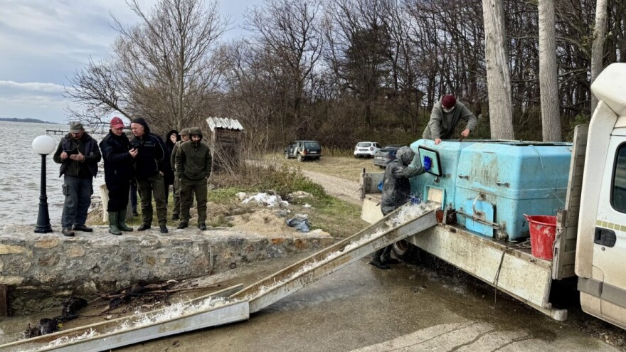 Zimsko poribljavanje sa više od 5.000 kilograma mlađi