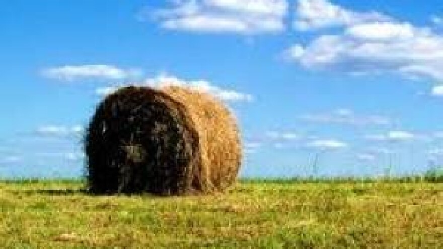 Obrazovanjem do EU novca