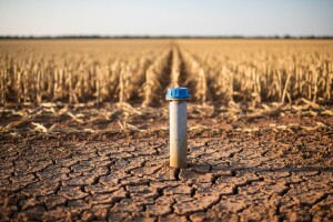 Imaju besplatnu vodu za navodnjavanje ali je ne koriste!