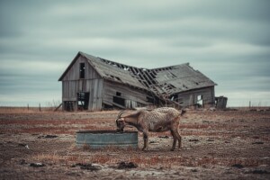 Imala farmu samo zbog novca od poticaja