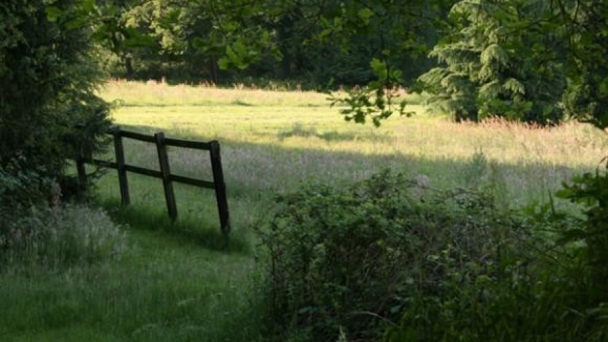 Propast sela: mladi napuštaju sela